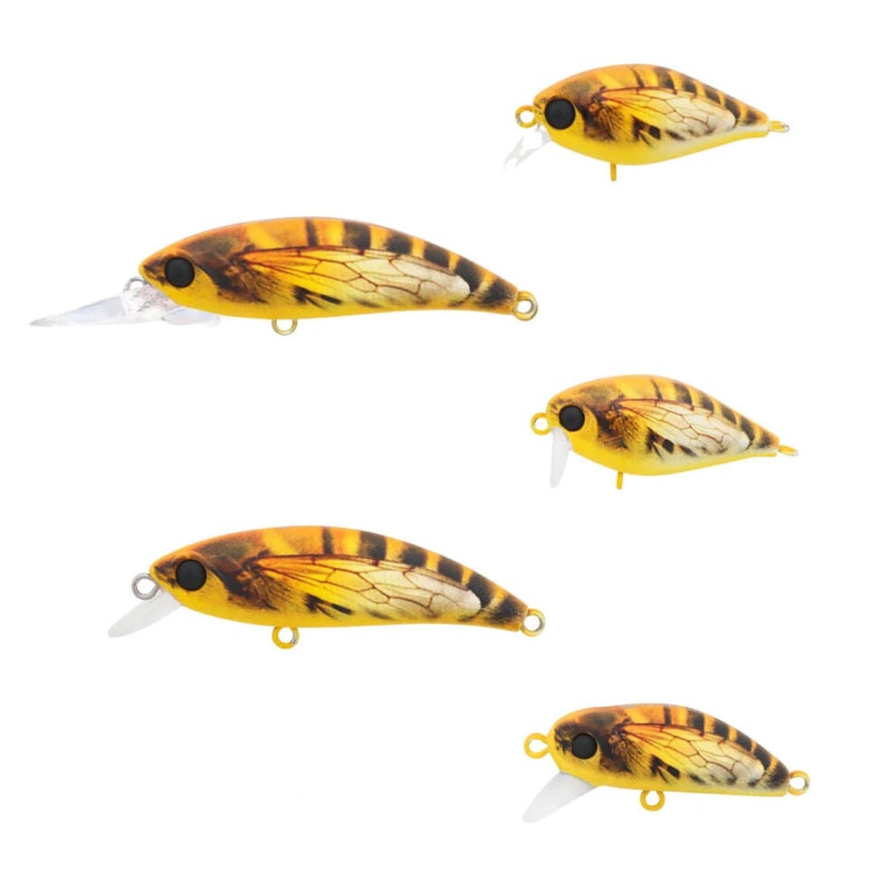 Hanfish Hornet Limited / Özel Seri